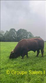 photo non disponible